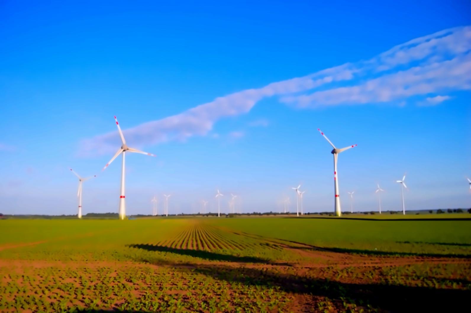 Espacio de trabajo en Mirathenov, Vigo